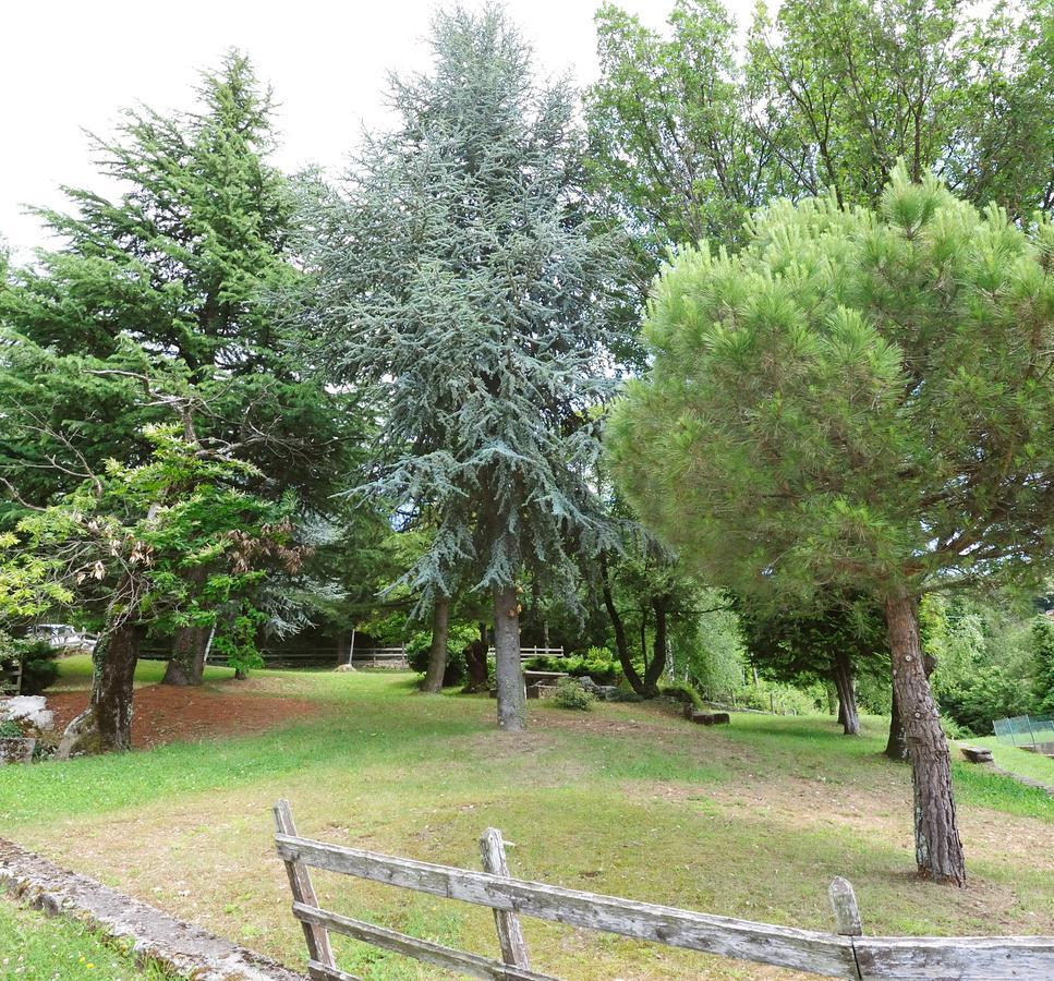 Hotel San Remo San Zeno di Montagna Eksteriør bilde